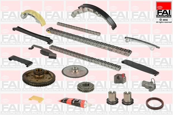 FAI AUTOPARTS pavaros grandinės komplektas TCK41CRD